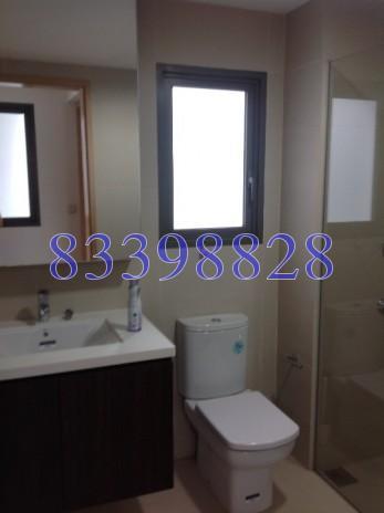 Meadows @ Peirce (D26), Condominium #65028902